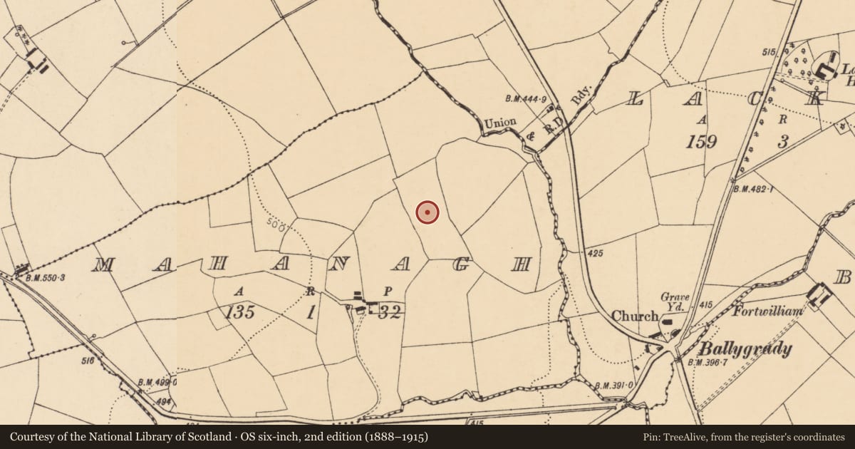 Ordnance Survey six-inch map, 2nd edition (1888–1915) covering the location of Standing stone, Mahanagh, County Cork, with a pin at the register's coordinates