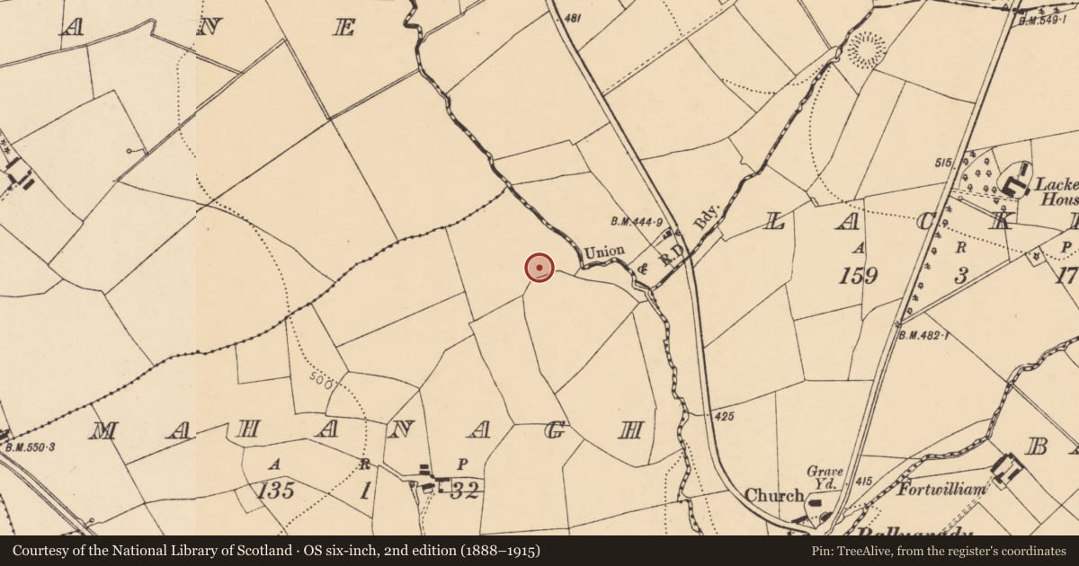 Ordnance Survey six-inch map, 2nd edition (1888–1915) covering the location of Standing stone, Mahanagh, County Cork, with a pin at the register's coordinates