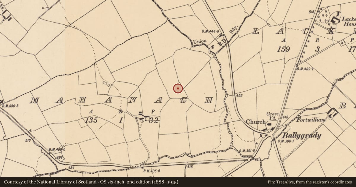 Ordnance Survey six-inch map, 2nd edition (1888–1915) covering the location of Fulacht fia, Mahanagh, County Cork, with a pin at the register's coordinates