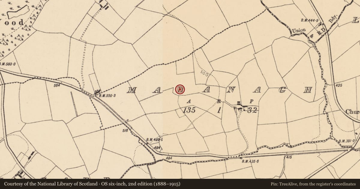 Ordnance Survey six-inch map, 2nd edition (1888–1915) covering the location of Ringfort - rath, Mahanagh, County Cork, with a pin at the register's coordinates