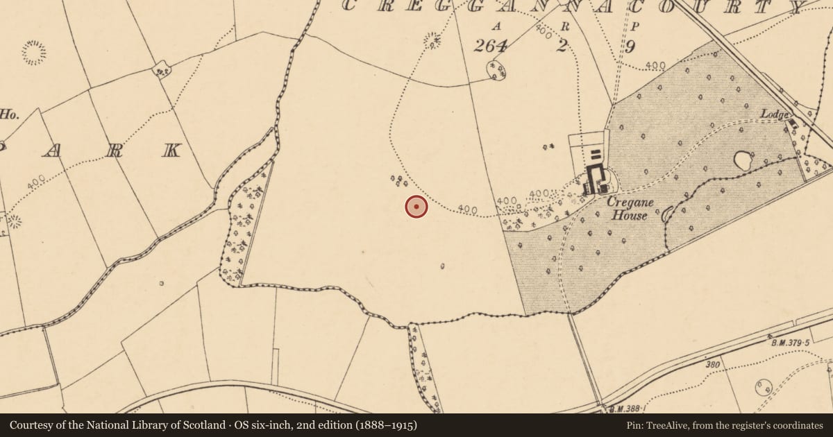 Ordnance Survey six-inch map, 2nd edition (1888–1915) covering the location of Enclosure, Creggannacourty, County Cork, with a pin at the register's coordinates