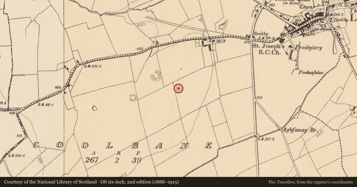 Ordnance Survey six-inch map, 2nd edition (1888–1915) covering the location of Enclosure, Coolbane, County Cork, with a pin at the register's coordinates