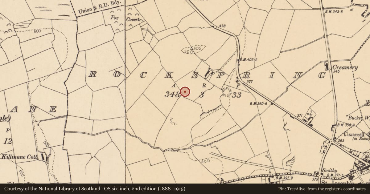 Ordnance Survey six-inch map, 2nd edition (1888–1915) covering the location of Ringfort - rath, Rockspring, County Cork, with a pin at the register's coordinates