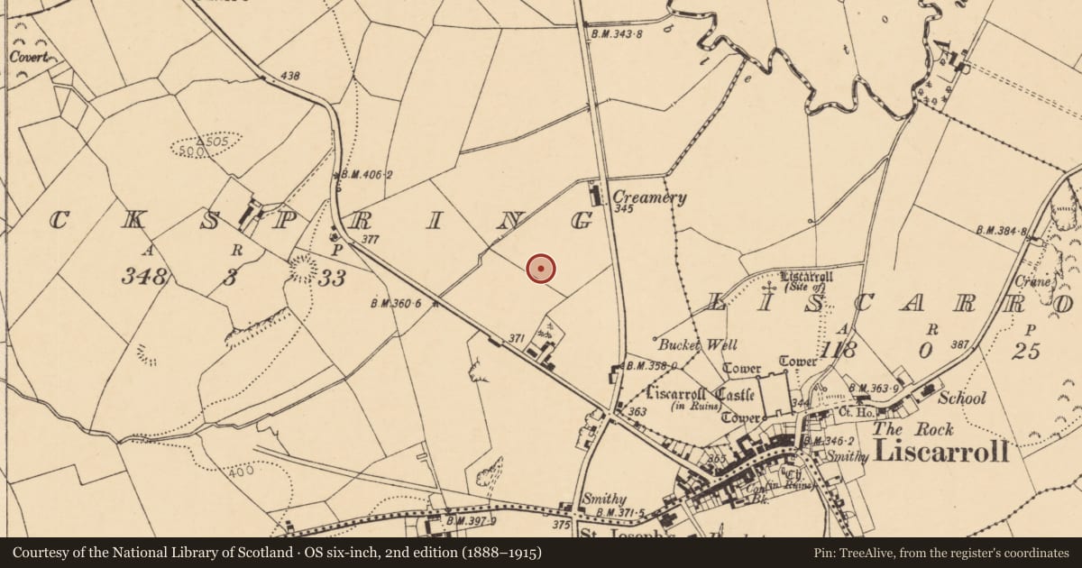 Ordnance Survey six-inch map, 2nd edition (1888–1915) covering the location of Enclosure, Rockspring, County Cork, with a pin at the register's coordinates