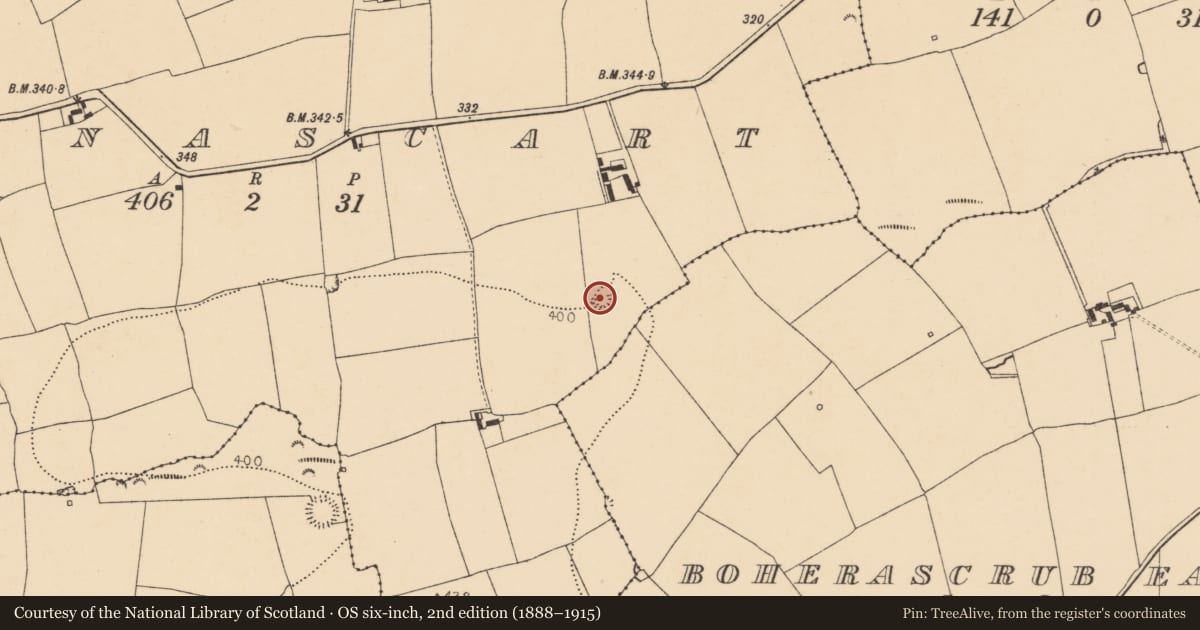 Ordnance Survey six-inch map, 2nd edition (1888–1915) covering the location of Souterrain, Tinnascart, County Cork, with a pin at the register's coordinates