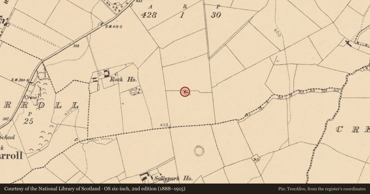 Ordnance Survey six-inch map, 2nd edition (1888–1915) covering the location of Fulacht fia, Knockardbane, County Cork, with a pin at the register's coordinates