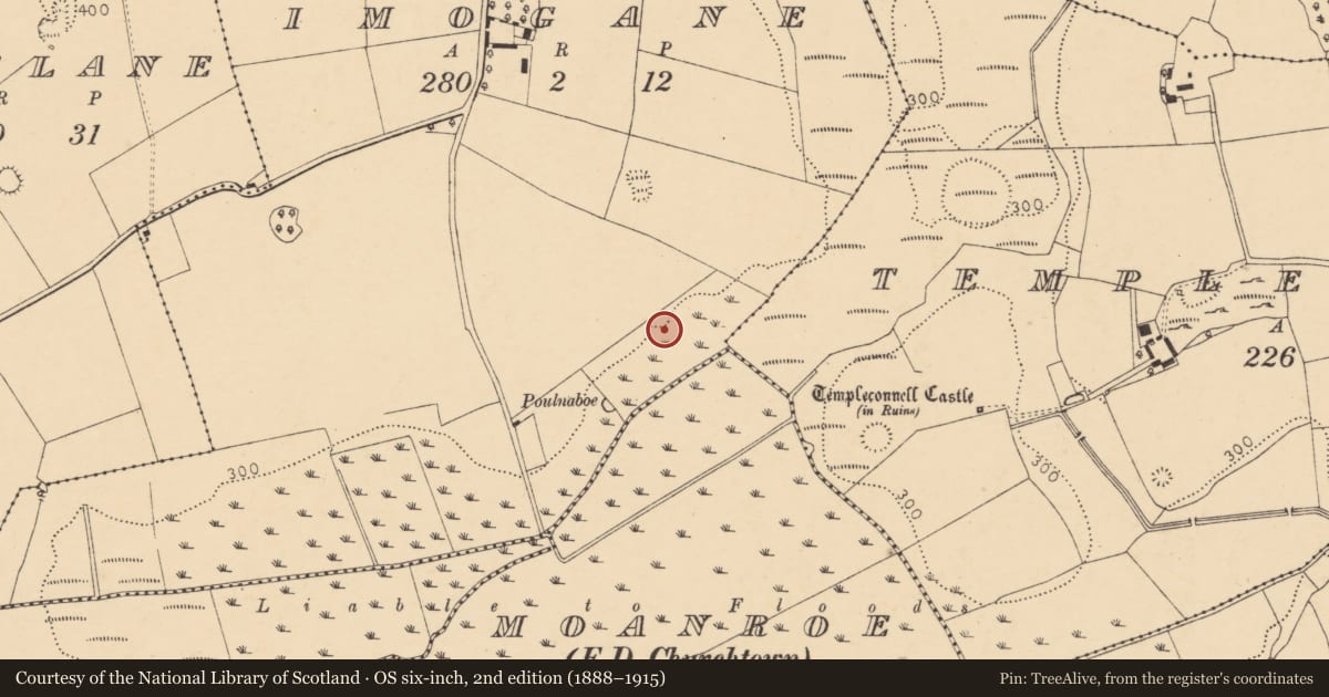 Ordnance Survey six-inch map, 2nd edition (1888–1915) covering the location of Fulacht fia, Imogane, County Cork, with a pin at the register's coordinates