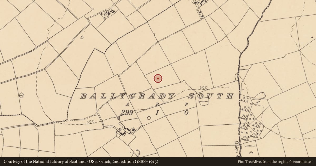 Ordnance Survey six-inch map, 2nd edition (1888–1915) covering the location of Fulacht fia, Ballygrady South, County Cork, with a pin at the register's coordinates