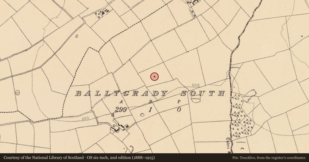 Ordnance Survey six-inch map, 2nd edition (1888–1915) covering the location of Fulacht fia, Ballygrady South, County Cork, with a pin at the register's coordinates