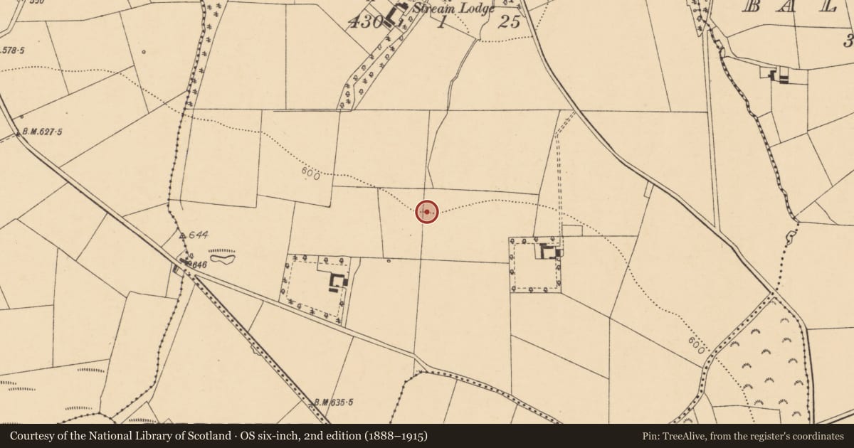 Ordnance Survey six-inch map, 2nd edition (1888–1915) covering the location of Fulacht fia, Gurteenroe, County Cork, with a pin at the register's coordinates