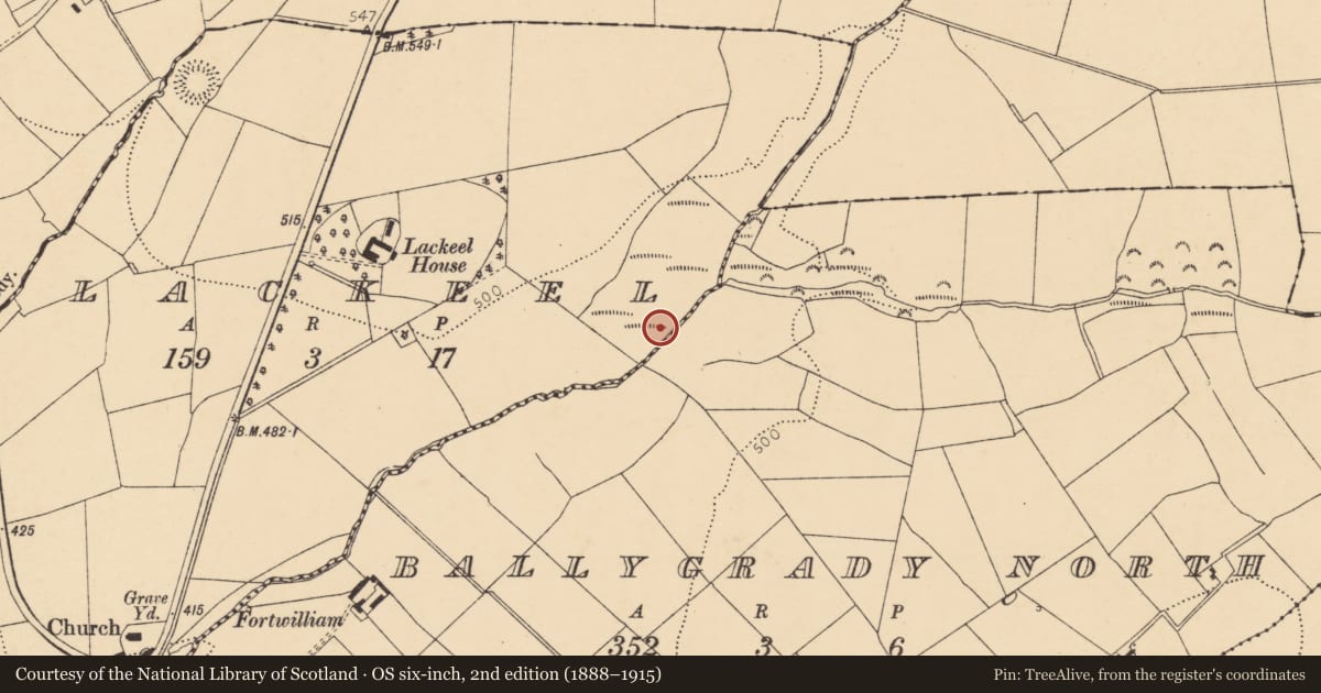 Ordnance Survey six-inch map, 2nd edition (1888–1915) covering the location of Mound, Lackeel, County Cork, with a pin at the register's coordinates