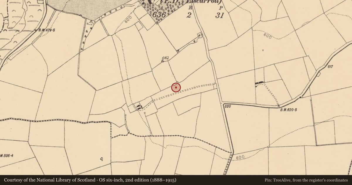 Ordnance Survey six-inch map, 2nd edition (1888–1915) covering the location of Standing stone, Knockbarry (Orrery and Kilmore By., Liscarroll Par.), County Cork, with a pin at the register's coordinates