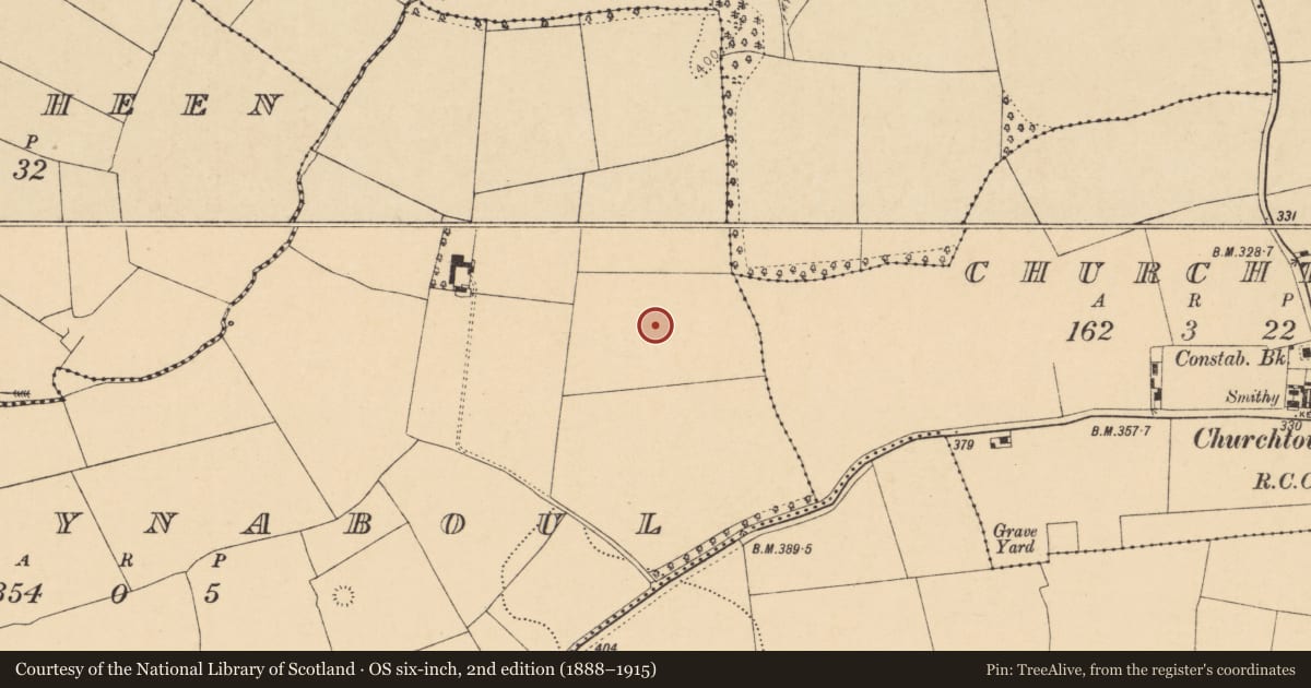 Ordnance Survey six-inch map, 2nd edition (1888–1915) covering the location of Field system, Ballynaboul, County Cork, with a pin at the register's coordinates