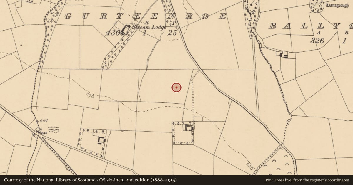 Ordnance Survey six-inch map, 2nd edition (1888–1915) covering the location of Enclosure, Gurteenroe, County Cork, with a pin at the register's coordinates