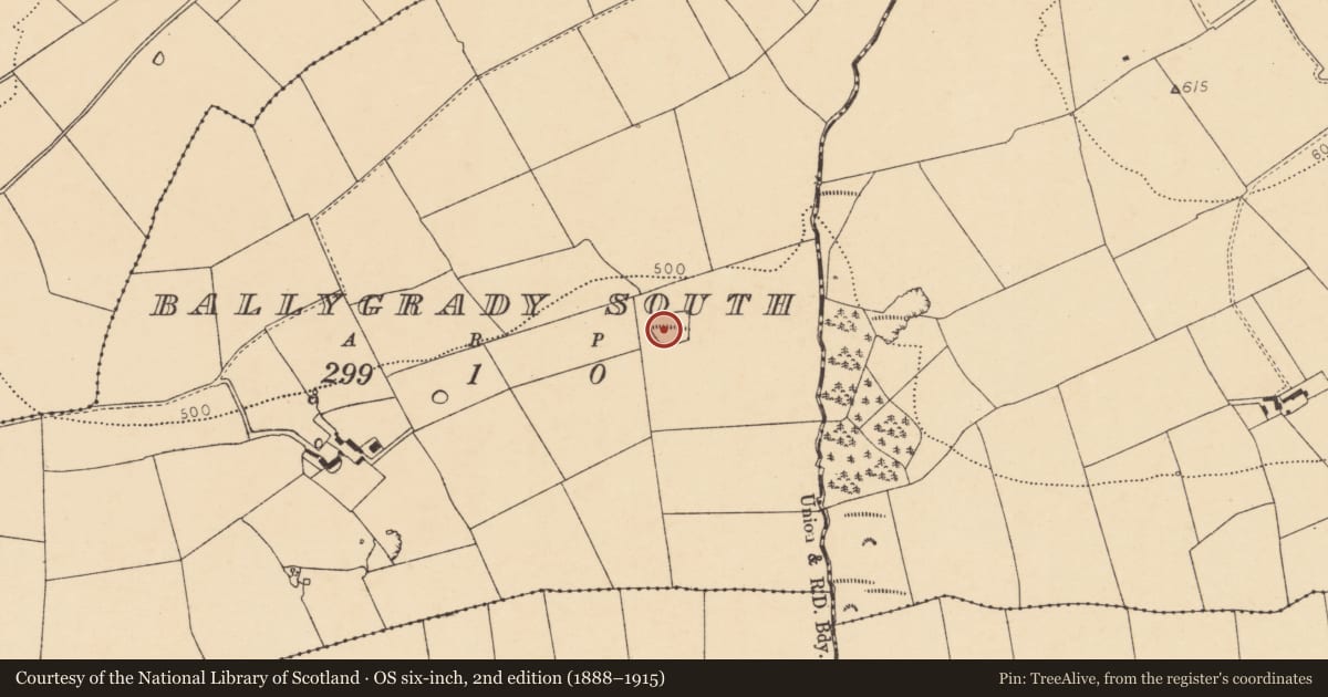 Ordnance Survey six-inch map, 2nd edition (1888–1915) covering the location of Souterrain, Ballygrady South, County Cork, with a pin at the register's coordinates