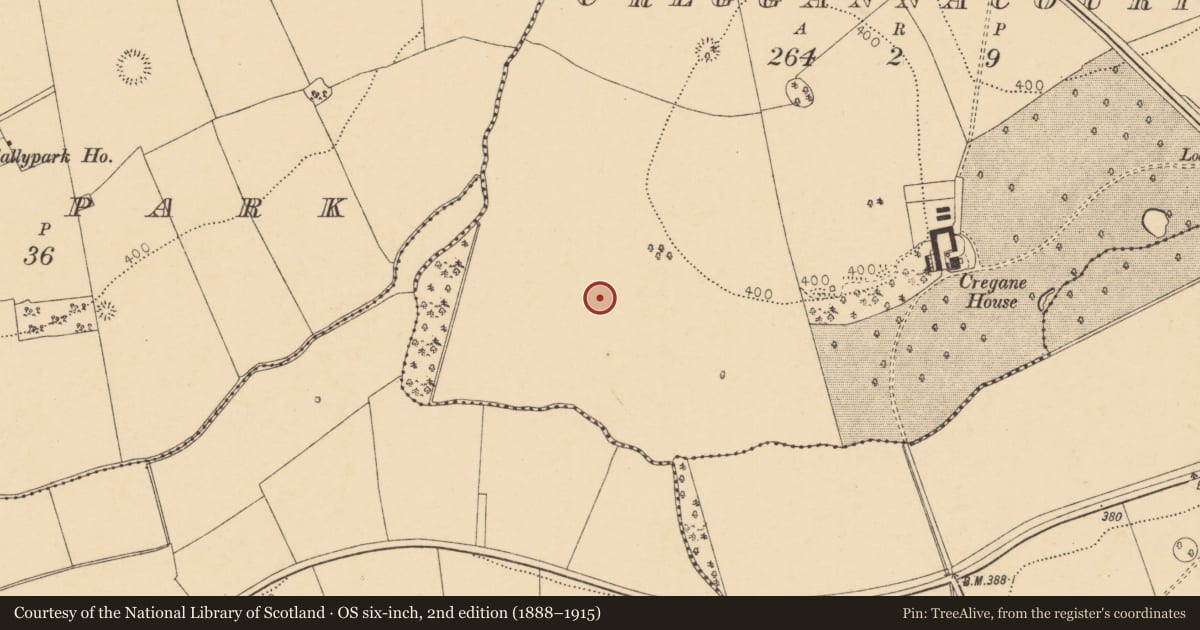 Ordnance Survey six-inch map, 2nd edition (1888–1915) covering the location of Ring-ditch, Creggannacourty, County Cork, with a pin at the register's coordinates