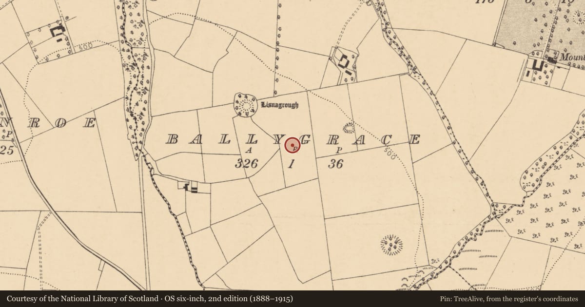 Ordnance Survey six-inch map, 2nd edition (1888–1915) covering the location of Enclosure, Ballygrace, County Cork, with a pin at the register's coordinates