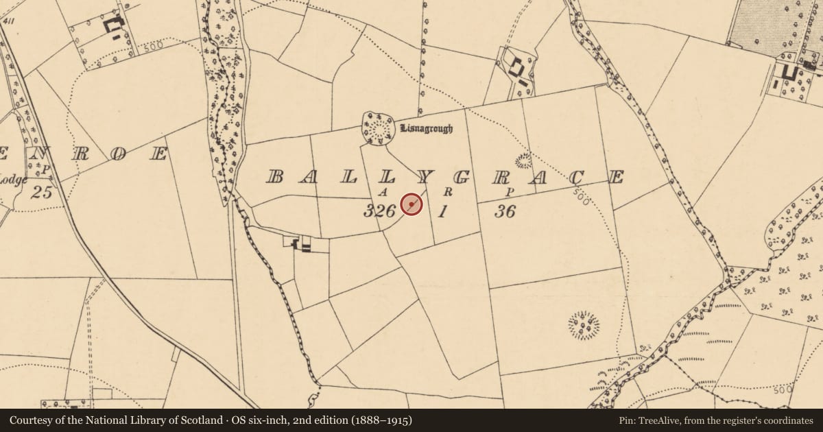 Ordnance Survey six-inch map, 2nd edition (1888–1915) covering the location of Enclosure, Ballygrace, County Cork, with a pin at the register's coordinates