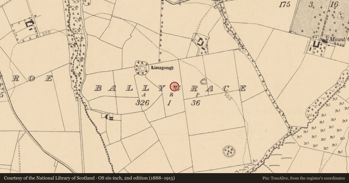 Ordnance Survey six-inch map, 2nd edition (1888–1915) covering the location of Field system, Ballygrace, County Cork, with a pin at the register's coordinates