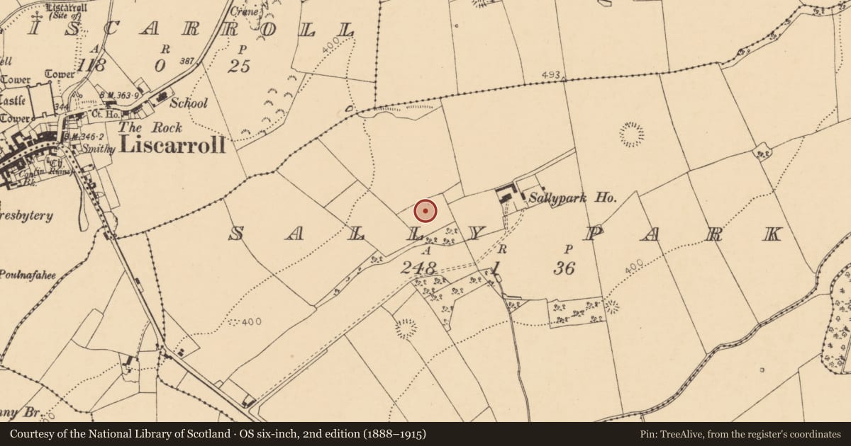 Ordnance Survey six-inch map, 2nd edition (1888–1915) covering the location of Fulacht fia, Sallypark, County Cork, with a pin at the register's coordinates