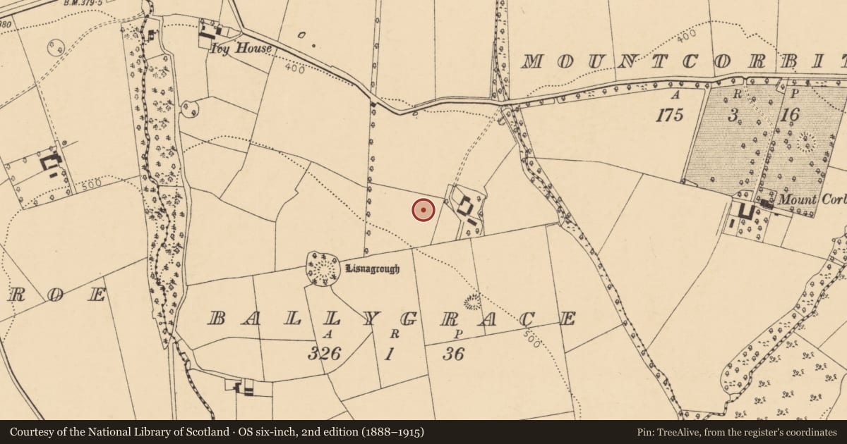 Ordnance Survey six-inch map, 2nd edition (1888–1915) covering the location of Enclosure, Ballygrace, County Cork, with a pin at the register's coordinates