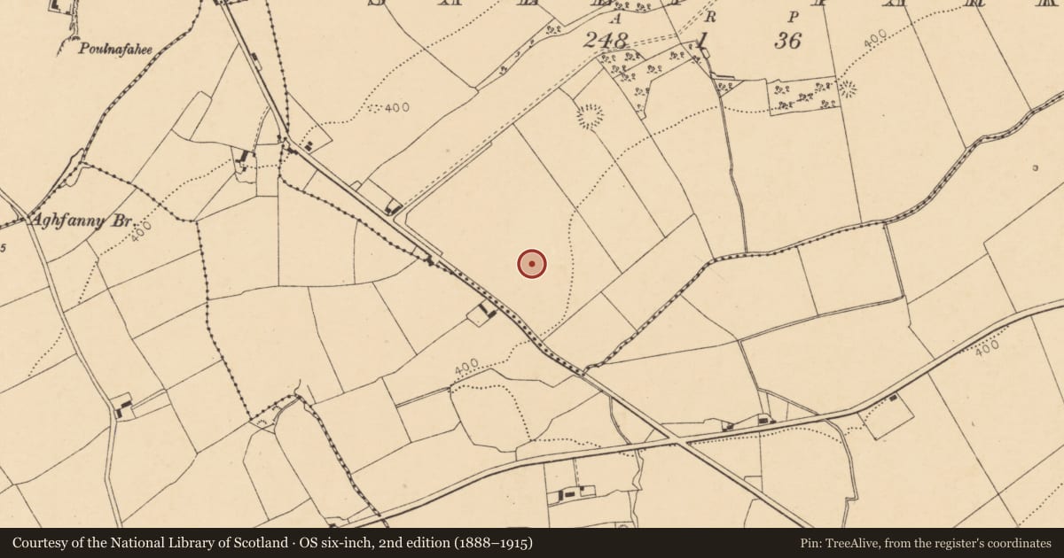 Ordnance Survey six-inch map, 2nd edition (1888–1915) covering the location of Enclosure, Sallypark, County Cork, with a pin at the register's coordinates