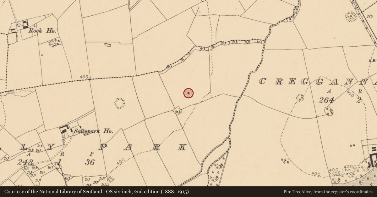 Ordnance Survey six-inch map, 2nd edition (1888–1915) covering the location of Enclosure, Sallypark, County Cork, with a pin at the register's coordinates
