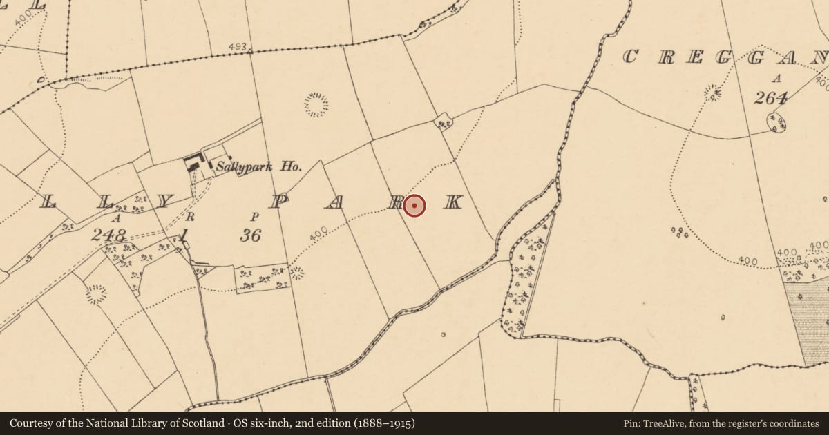 Ordnance Survey six-inch map, 2nd edition (1888–1915) covering the location of Enclosure, Sallypark, County Cork, with a pin at the register's coordinates