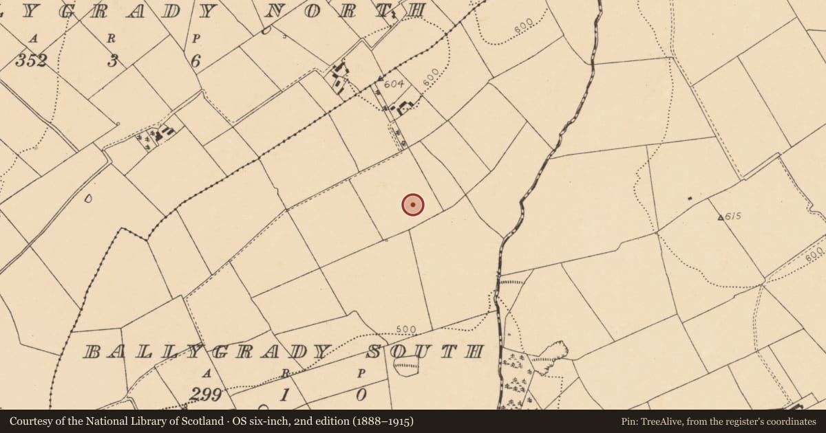 Ordnance Survey six-inch map, 2nd edition (1888–1915) covering the location of Field system, Ballygrady South, County Cork, with a pin at the register's coordinates
