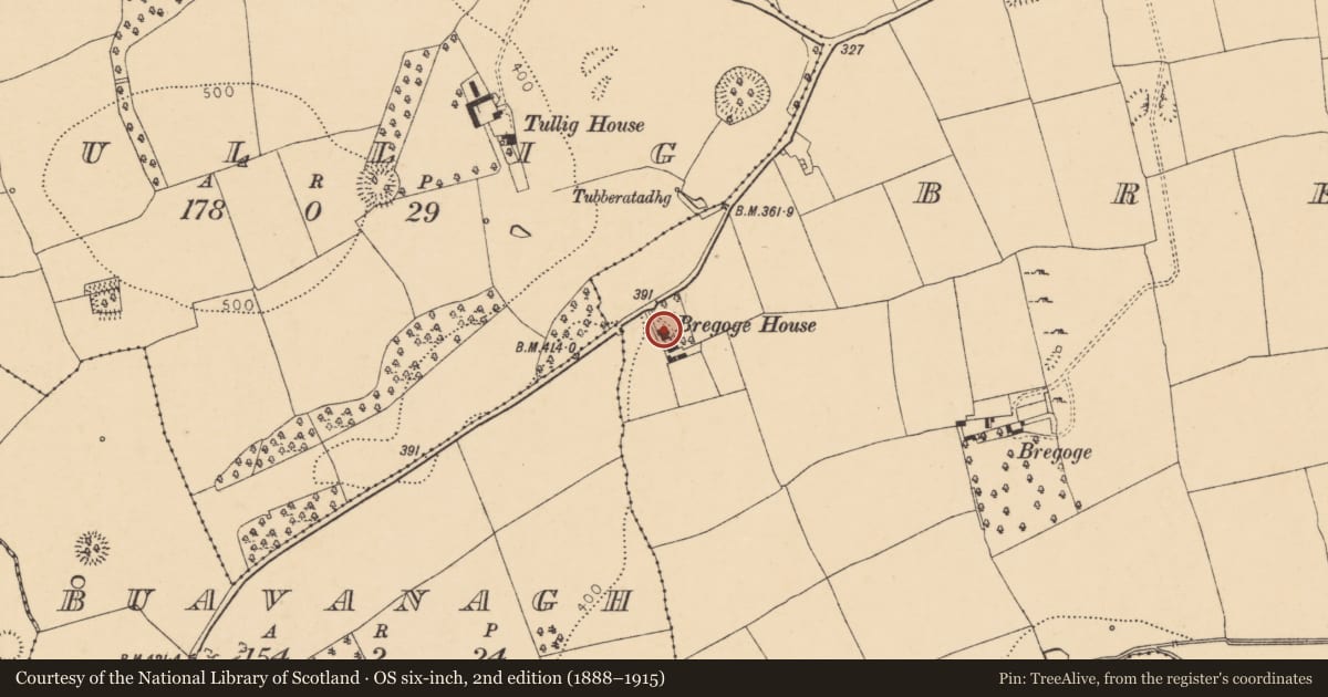 Ordnance Survey six-inch map, 2nd edition (1888–1915) covering the location of Castle - unclassified, Bregoge, County Cork, with a pin at the register's coordinates
