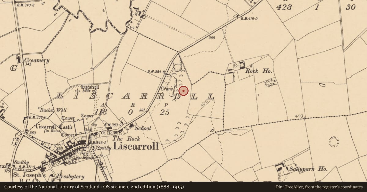 Ordnance Survey six-inch map, 2nd edition (1888–1915) covering the location of Souterrain, Liscarroll, County Cork, with a pin at the register's coordinates