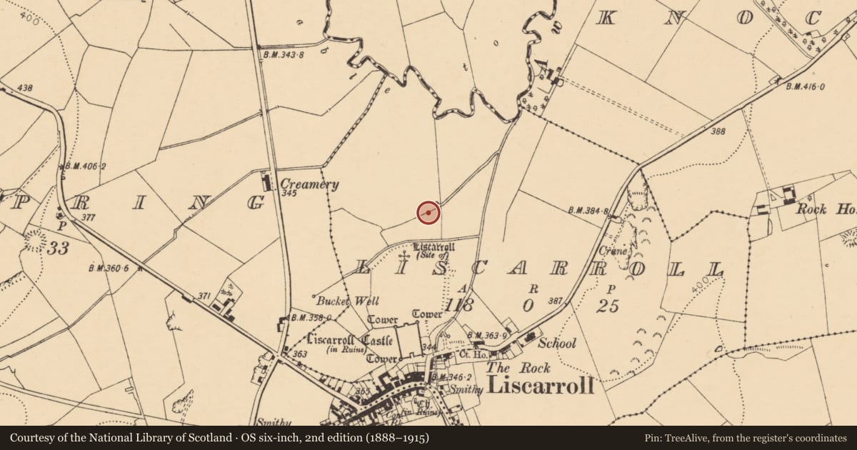 Ordnance Survey six-inch map, 2nd edition (1888–1915) covering the location of Fulacht fia, Liscarroll, County Cork, with a pin at the register's coordinates