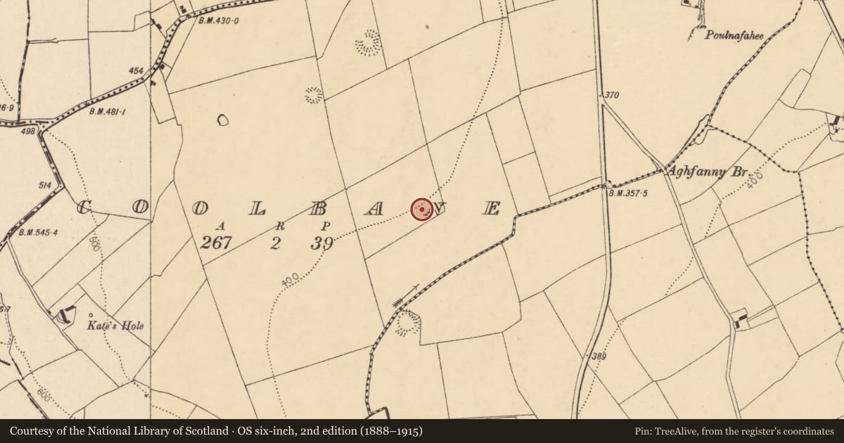 Ordnance Survey six-inch map, 2nd edition (1888–1915) covering the location of Battlefield, County Cork, with a pin at the register's coordinates