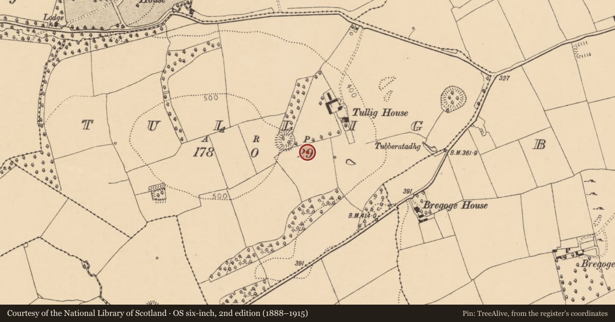 Ordnance Survey six-inch map, 2nd edition (1888–1915) covering the location of Enclosure, Tullig, County Cork, with a pin at the register's coordinates
