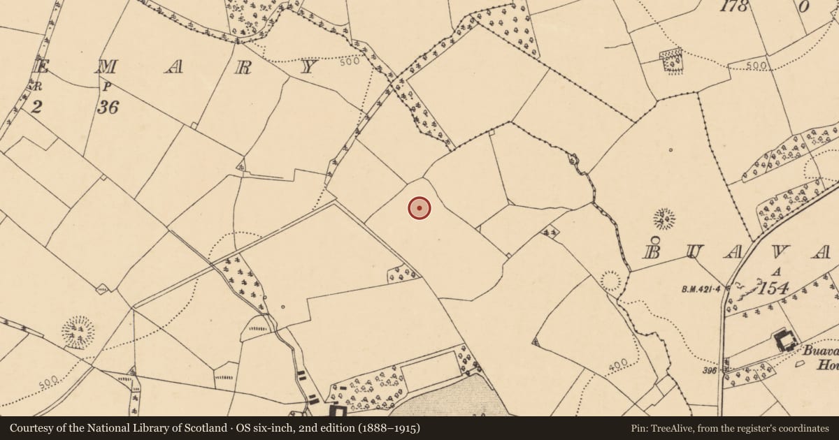 Ordnance Survey six-inch map, 2nd edition (1888–1915) covering the location of Moated site, Templemary, County Cork, with a pin at the register's coordinates