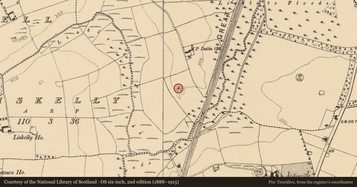 Ordnance Survey six-inch map, 2nd edition (1888–1915) covering the location of Ringfort - rath, Ballinguile, County Cork, with a pin at the register's coordinates