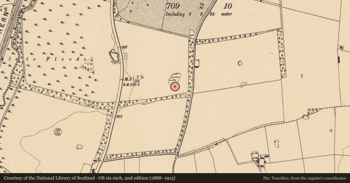 Ordnance Survey six-inch map, 2nd edition (1888–1915) covering the location of Earthwork, Velvetstown, County Cork, with a pin at the register's coordinates