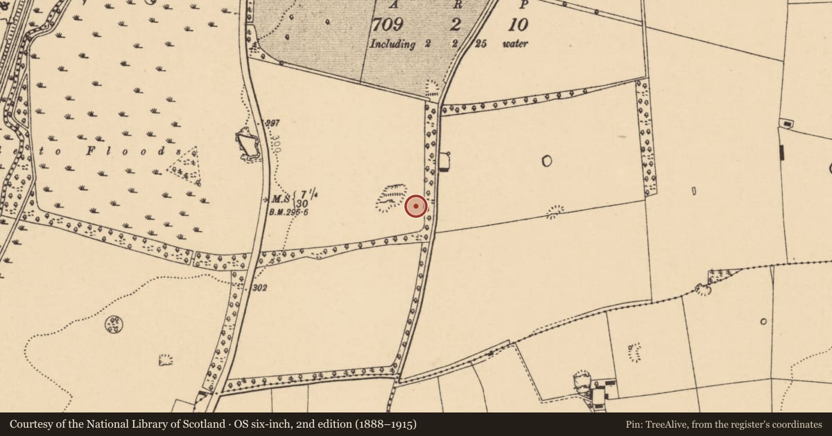 Ordnance Survey six-inch map, 2nd edition (1888–1915) covering the location of Standing stone, Velvetstown, County Cork, with a pin at the register's coordinates