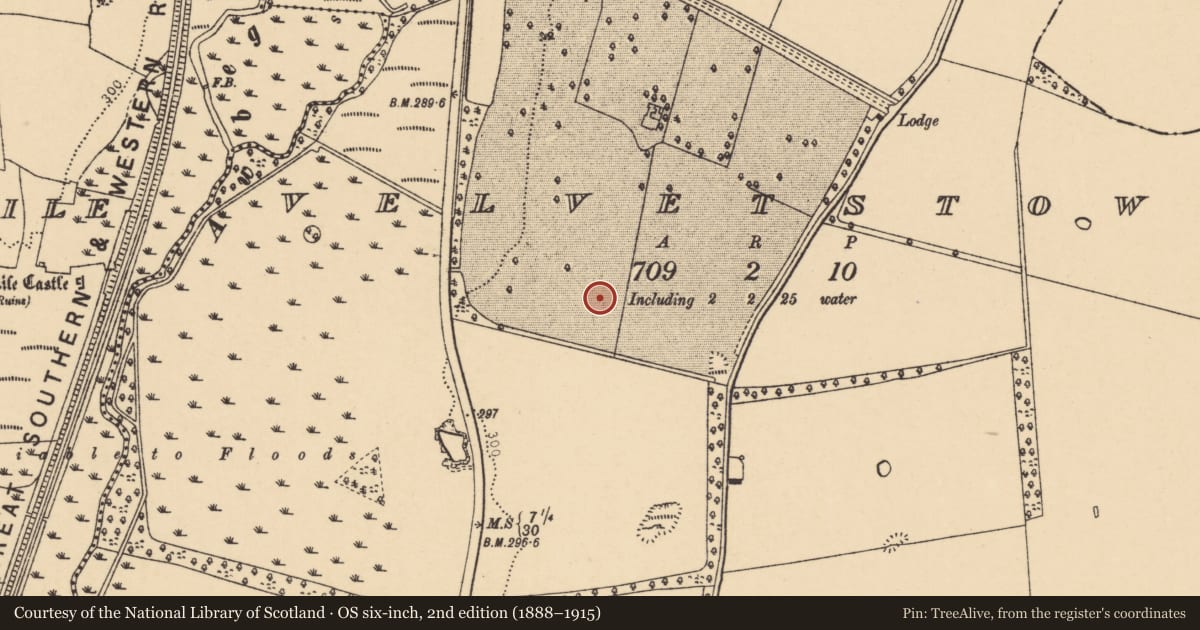 Ordnance Survey six-inch map, 2nd edition (1888–1915) covering the location of Burial ground, Velvetstown, County Cork, with a pin at the register's coordinates