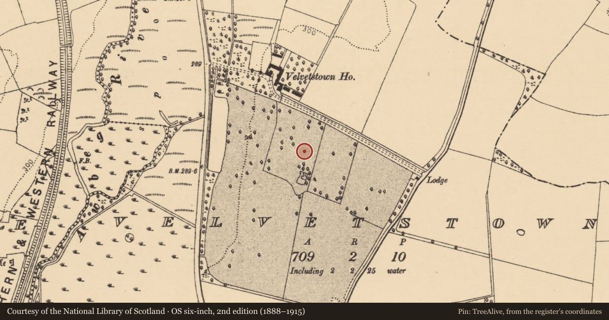 Ordnance Survey six-inch map, 2nd edition (1888–1915) covering the location of Earthwork, Velvetstown, County Cork, with a pin at the register's coordinates