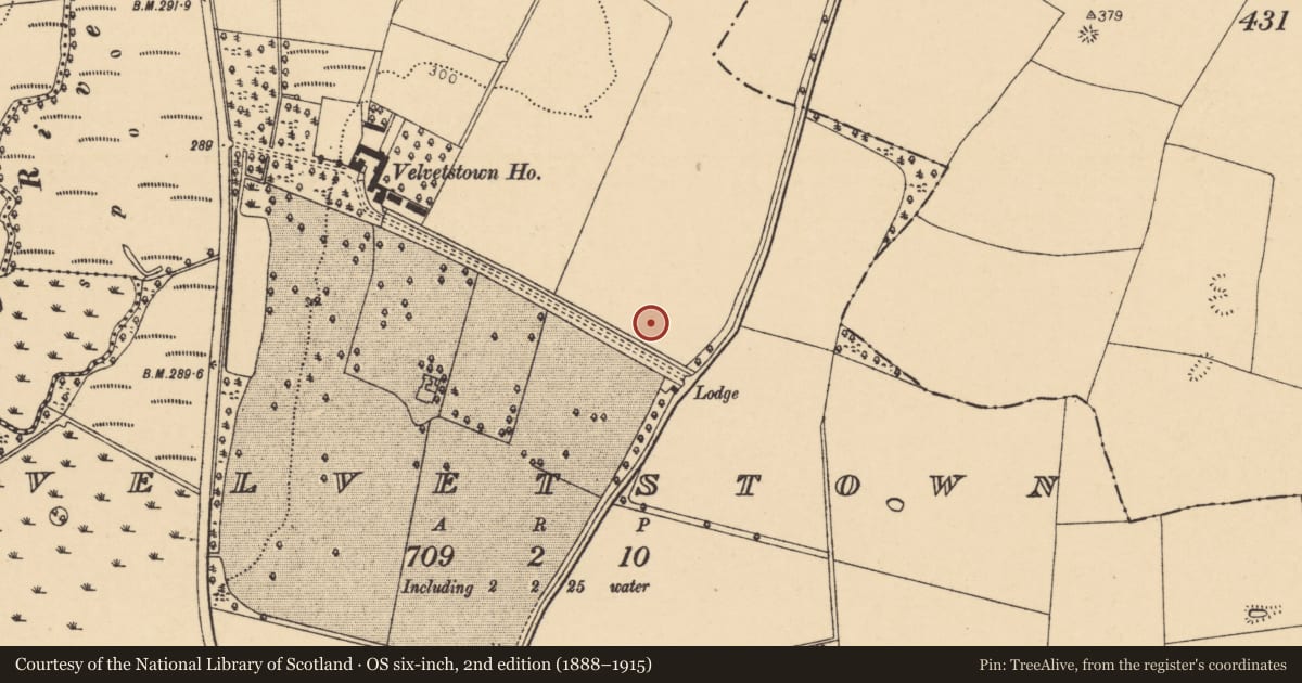 Ordnance Survey six-inch map, 2nd edition (1888–1915) covering the location of Fulacht fia, Velvetstown, County Cork, with a pin at the register's coordinates