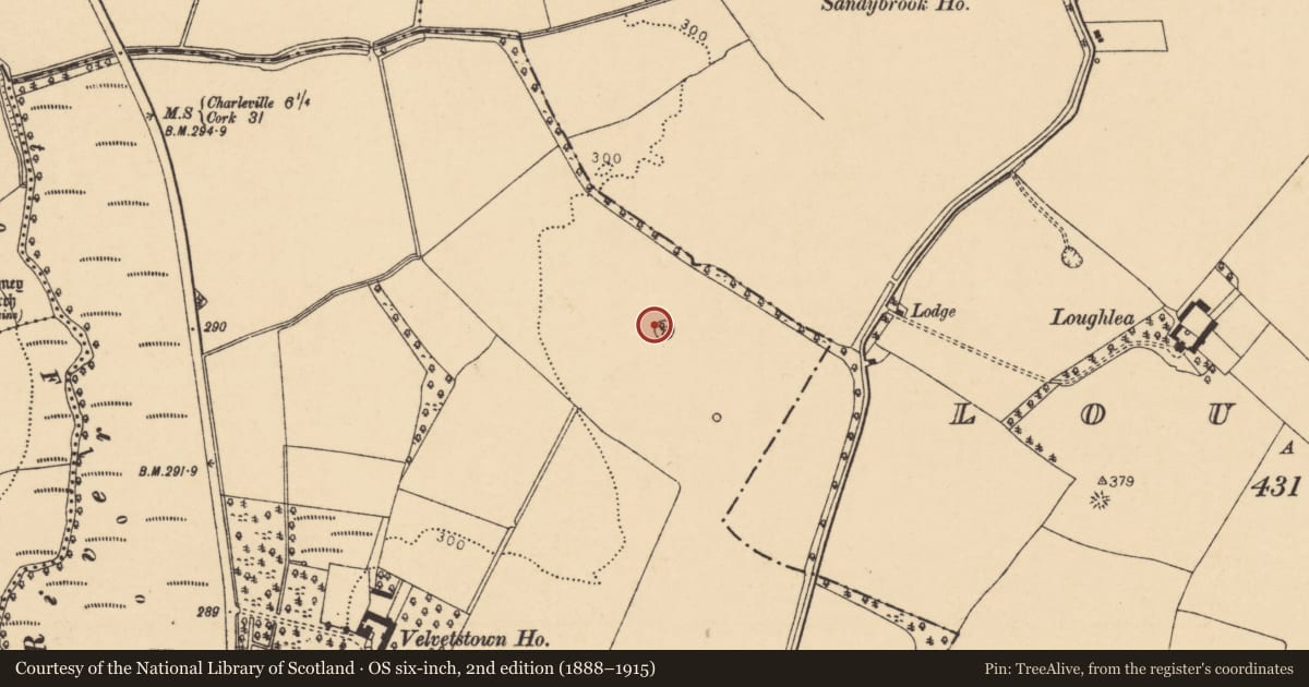 Ordnance Survey six-inch map, 2nd edition (1888–1915) covering the location of Ringfort - rath, Velvetstown, County Cork, with a pin at the register's coordinates