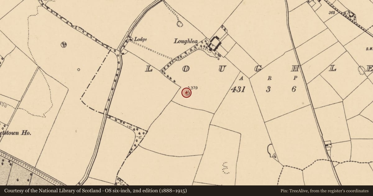 Ordnance Survey six-inch map, 2nd edition (1888–1915) covering the location of Designed landscape - tree-ring, Loughlea, County Cork, with a pin at the register's coordinates