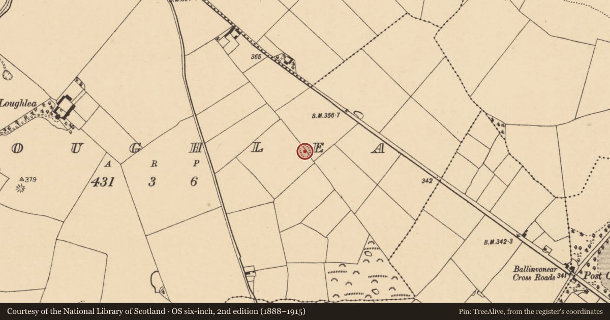 Ordnance Survey six-inch map, 2nd edition (1888–1915) covering the location of Enclosure, Loughlea, County Cork, with a pin at the register's coordinates