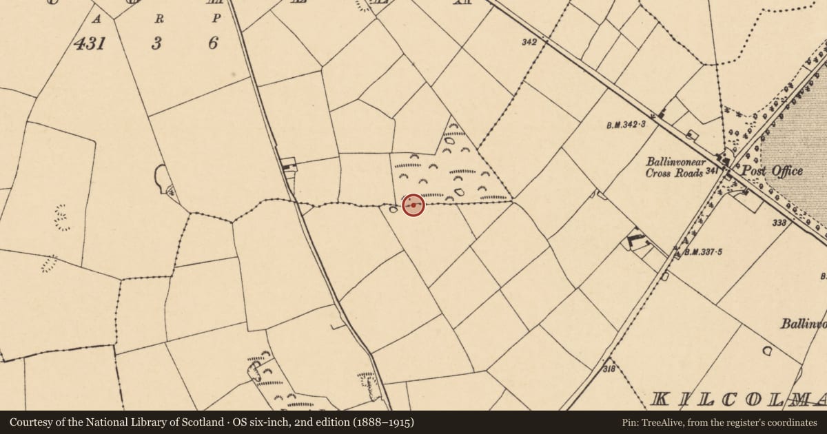 Ordnance Survey six-inch map, 2nd edition (1888–1915) covering the location of Fulacht fia, Loughlea, County Cork, with a pin at the register's coordinates