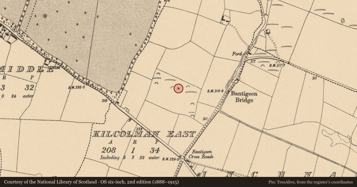 Ordnance Survey six-inch map, 2nd edition (1888–1915) covering the location of Fulacht fia, Kilcolman East, County Cork, with a pin at the register's coordinates