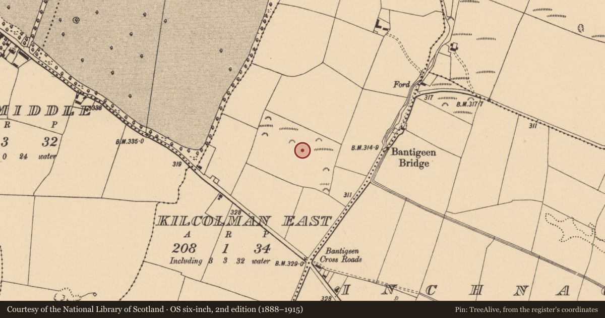Ordnance Survey six-inch map, 2nd edition (1888–1915) covering the location of Fulacht fia, Kilcolman East, County Cork, with a pin at the register's coordinates