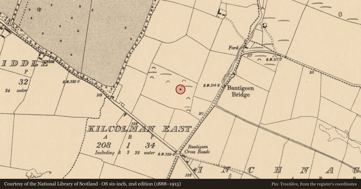 Ordnance Survey six-inch map, 2nd edition (1888–1915) covering the location of Fulacht fia, Kilcolman East, County Cork, with a pin at the register's coordinates