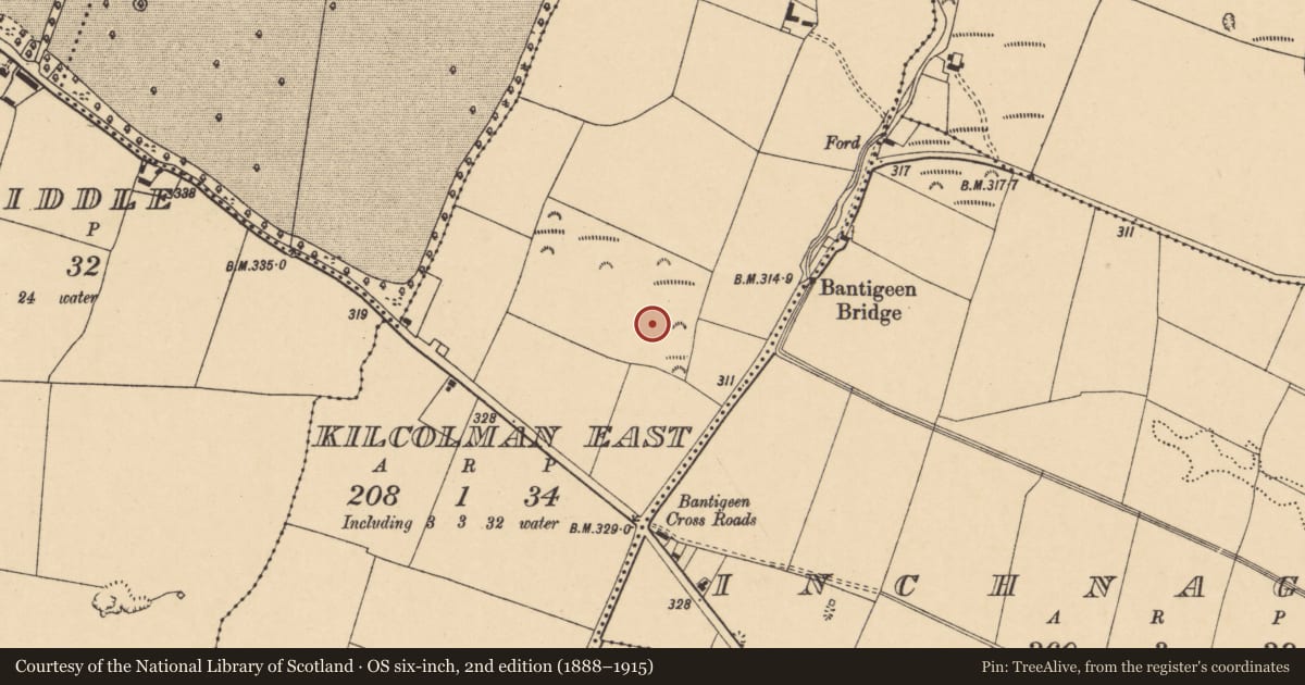 Ordnance Survey six-inch map, 2nd edition (1888–1915) covering the location of Fulacht fia, Kilcolman East, County Cork, with a pin at the register's coordinates