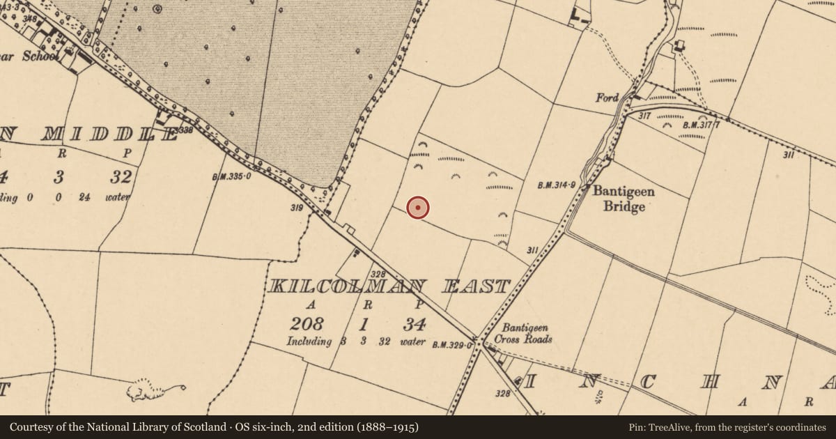 Ordnance Survey six-inch map, 2nd edition (1888–1915) covering the location of Fulacht fia, Kilcolman East, County Cork, with a pin at the register's coordinates